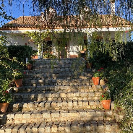 Casa Rural "El Carrasca" El Carrascalejo Экстерьер фото
