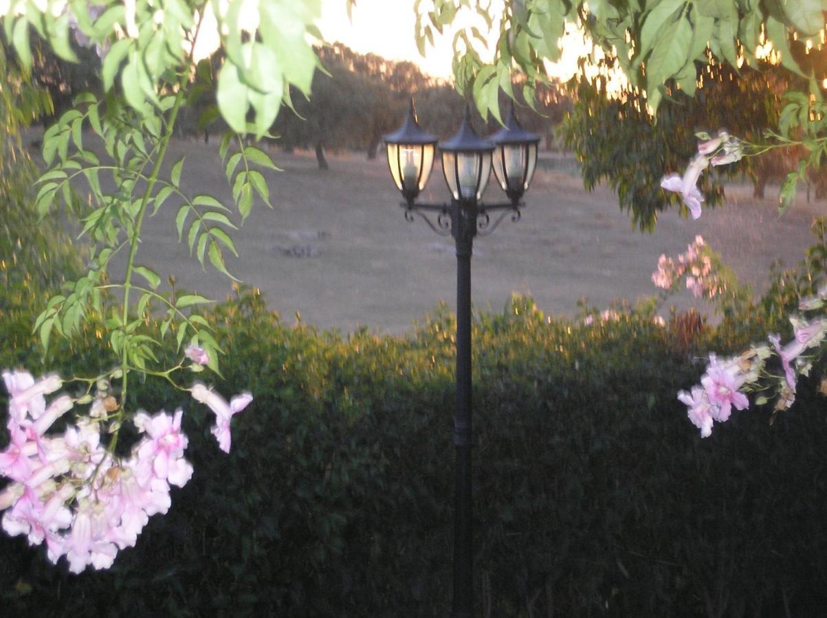 Casa Rural "El Carrasca" El Carrascalejo Экстерьер фото