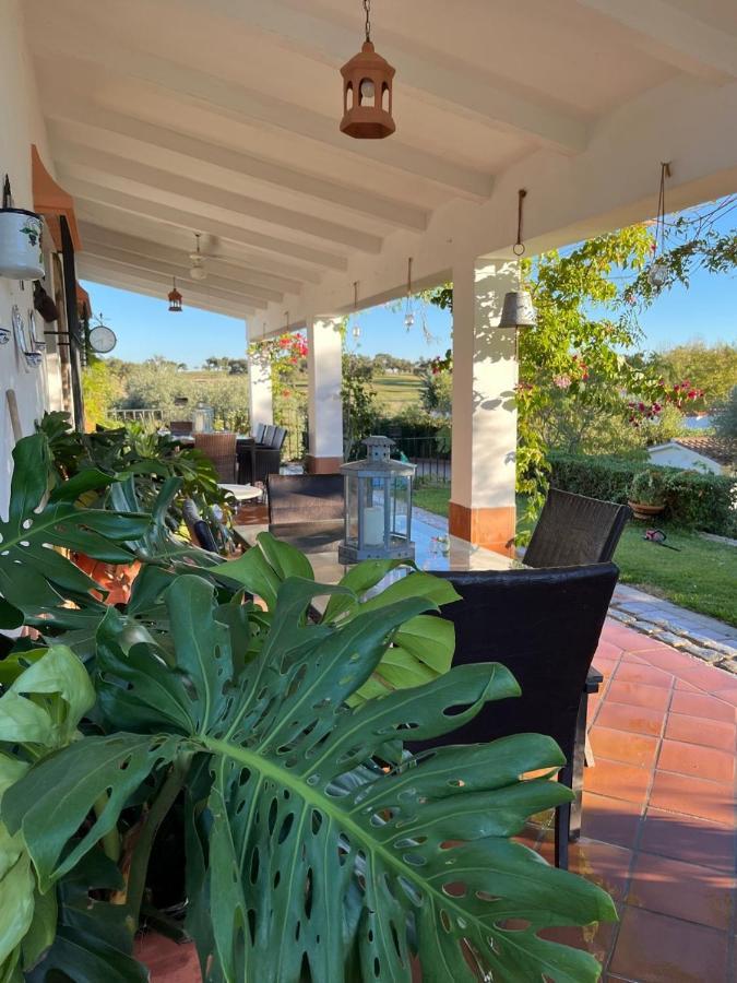 Casa Rural "El Carrasca" El Carrascalejo Экстерьер фото