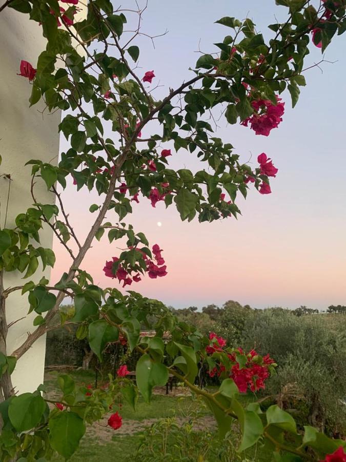Casa Rural "El Carrasca" El Carrascalejo Экстерьер фото