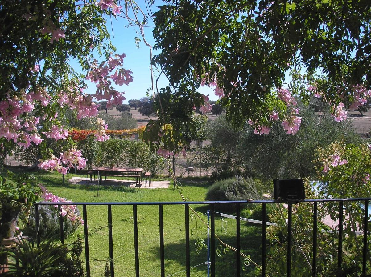 Casa Rural "El Carrasca" El Carrascalejo Экстерьер фото