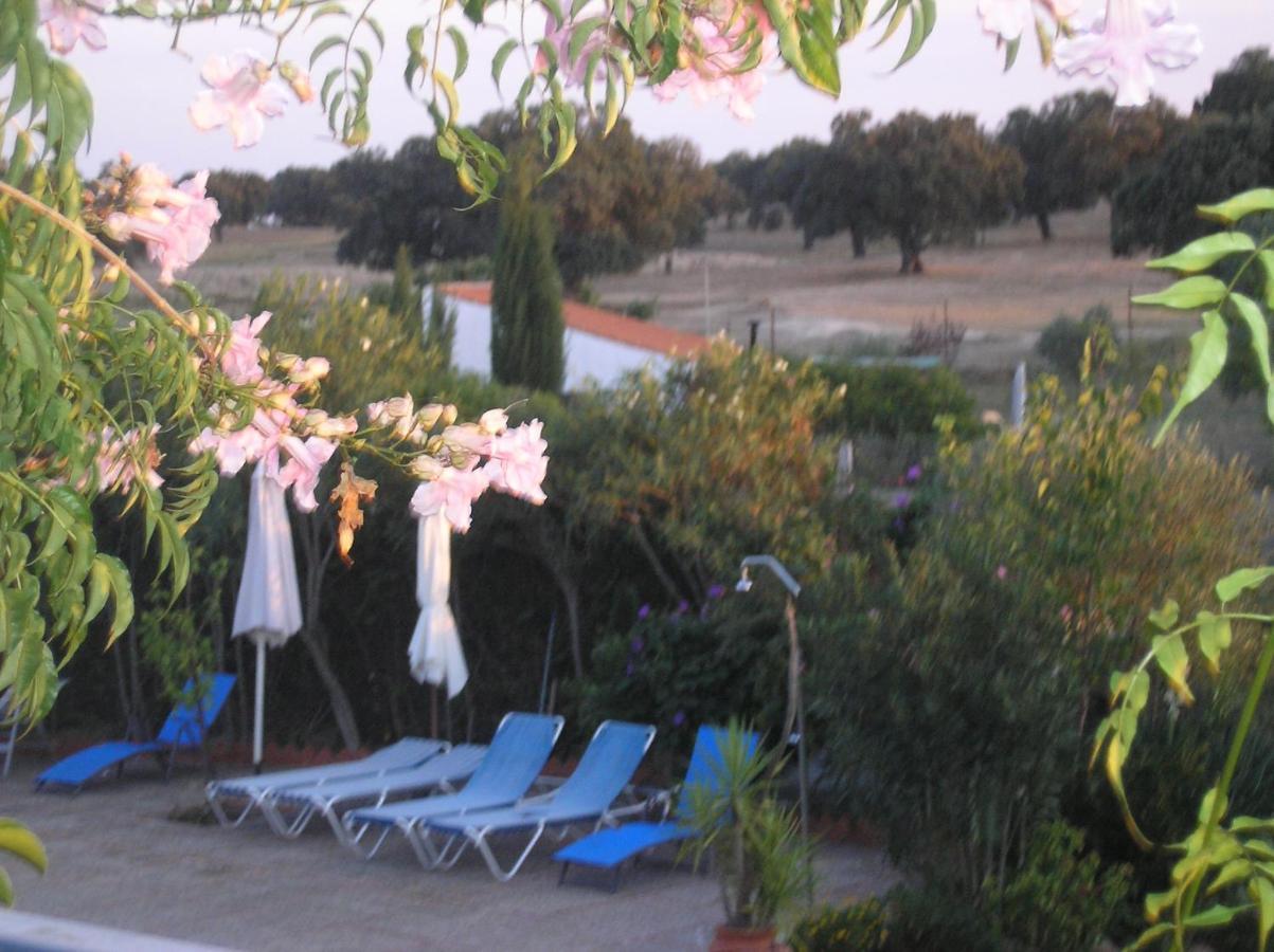 Casa Rural "El Carrasca" El Carrascalejo Экстерьер фото