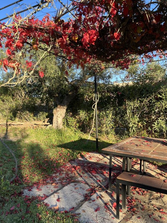 Casa Rural "El Carrasca" El Carrascalejo Экстерьер фото
